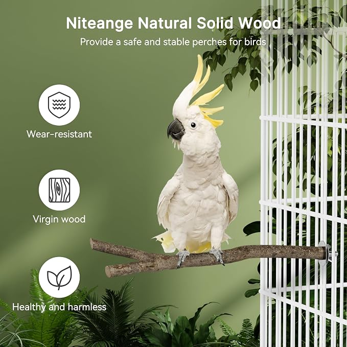 Niteangel Natural Wooden Perches - Image 4