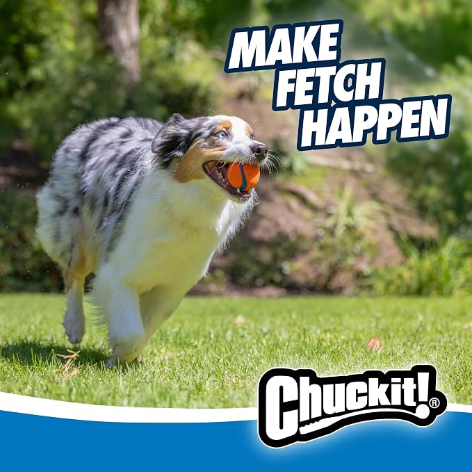 Chuckit! Ultra Ball Dog Toy - Image 6