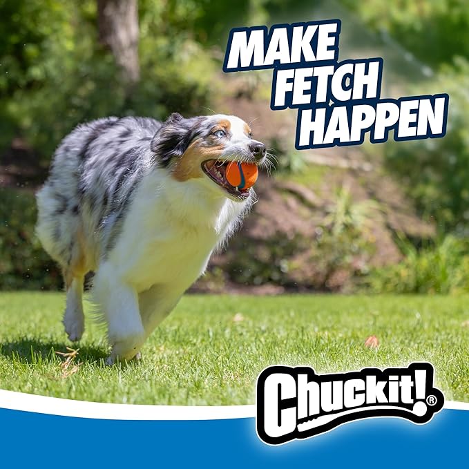 Chuckit! Ultra Ball Dog Toy - Image 5