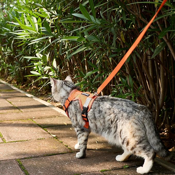 Cat Harness and Leash Escape Proof Large Kitten Harness Ragdoll Cat Vest - Image 3