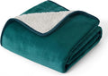 Bedsure Cat Blanket for Indoor Cats by BEDSURE