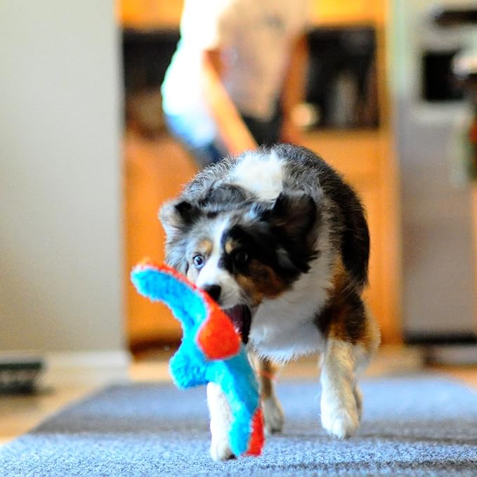 Chuckit! Indoor Fetch Squirrel Toy - Image 6