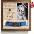 Pet Memorial Gifts Bereavement Gifts Cat Memorial Dog Loss Sympathy Custom Cat by Bfigift