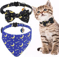 EXPAWLORER Cute Cat Collar Breakaway by EXPAWLORER