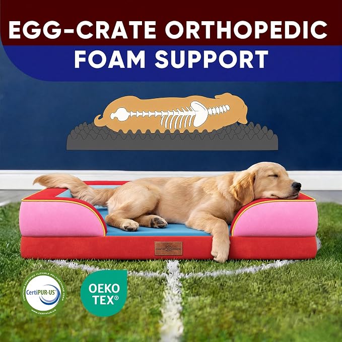 Comfort Expression Orthopedic Dog Bed - Image 3