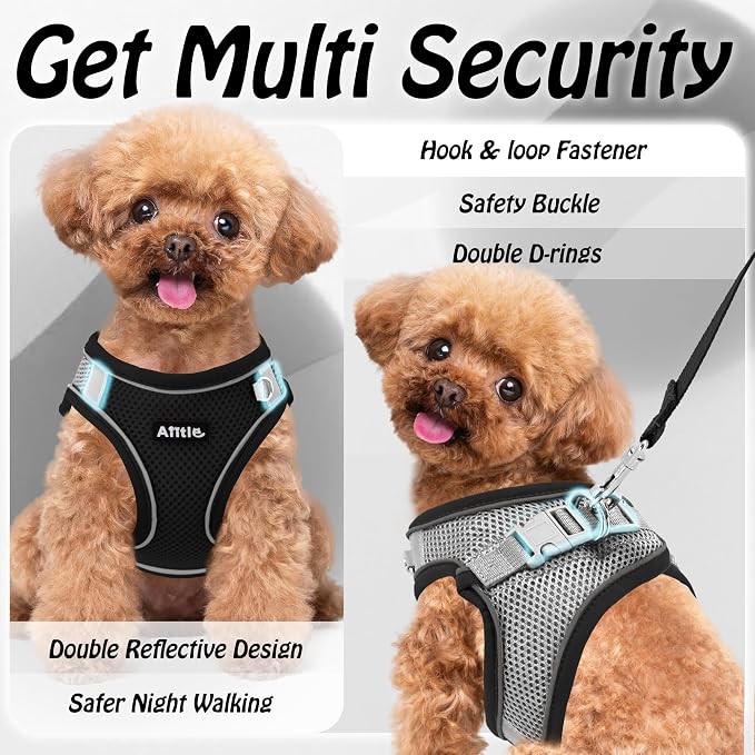 AIITLE Dog Harness, No-Pull Cat Harness - Image 5
