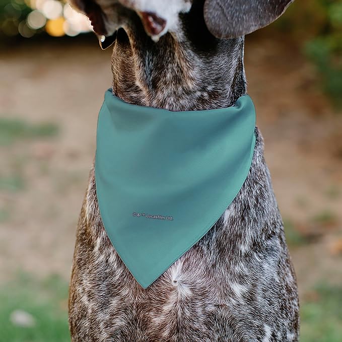 Star Wars Pet Bandana Star Wars Madalorian and Grogu Where He Goes I Go Pose - Image 5