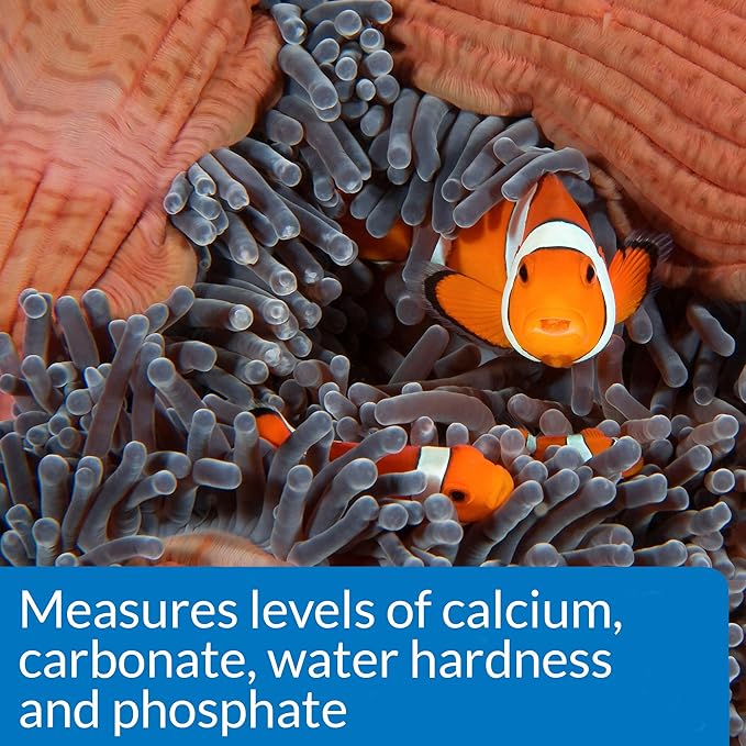 API SALTWATER MASTER TEST KIT 550-Test Saltwater Aquarium Water Test Kit - Image 6