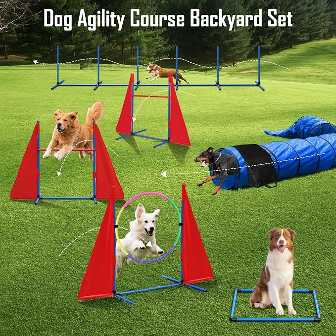 Dog Agility Course Backyard Set, Dog Agility Equipment, Portable Agility - Image 6
