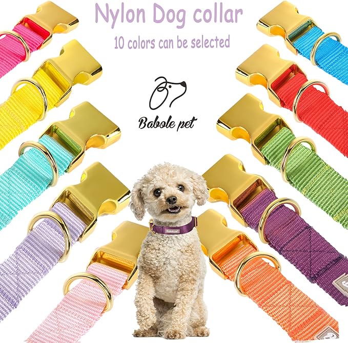 Nylon Dog Collar - Image 6
