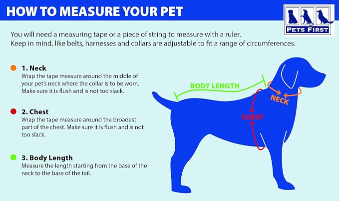 NFL Las Vegas Raiders Dog & Cat T-Shirt, Large. Football PET TEE - Image 2