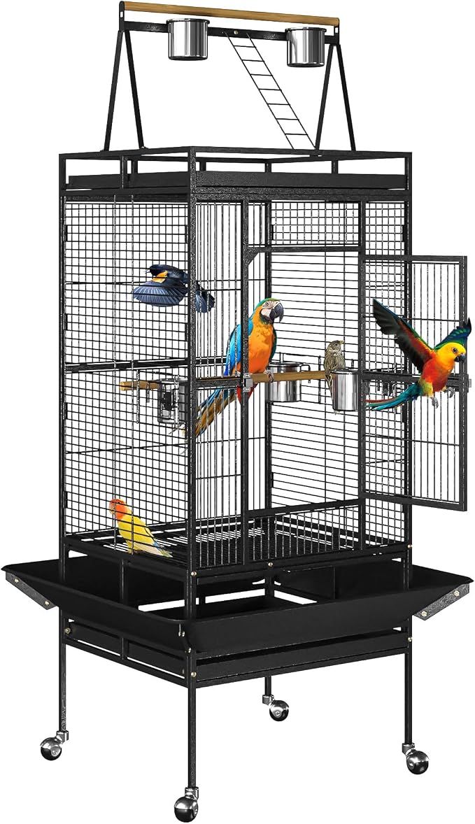 Nova Microdermabrasion 68-Inch Height Wrought Iron Standing Large Play Top Bird by NovaMicrodermabrasion