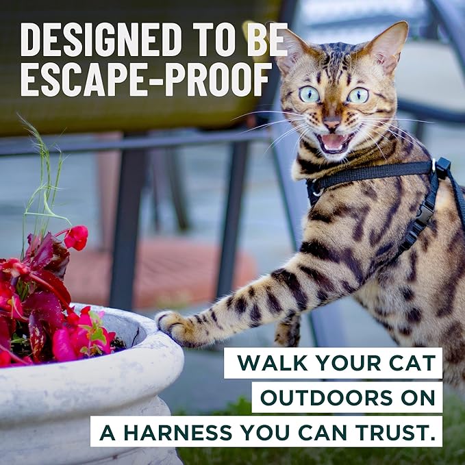 Houdini™ Escape Proof Kitten Harness and Leash Set by OutdoorBengal – Orange - Image 2