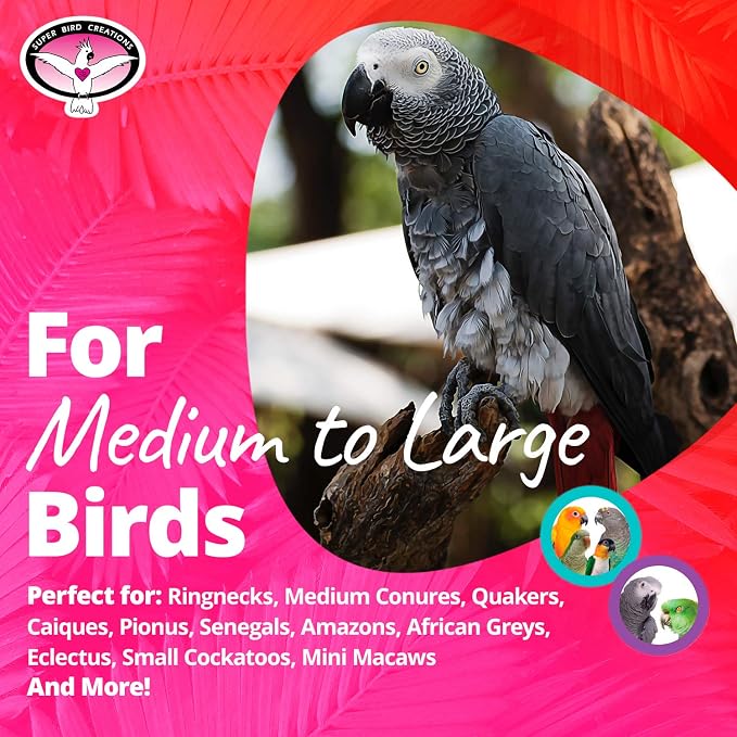 Super Bird Creations SB751 PVC Forager Bird Toy, Medium/Large Bird Size - Image 3