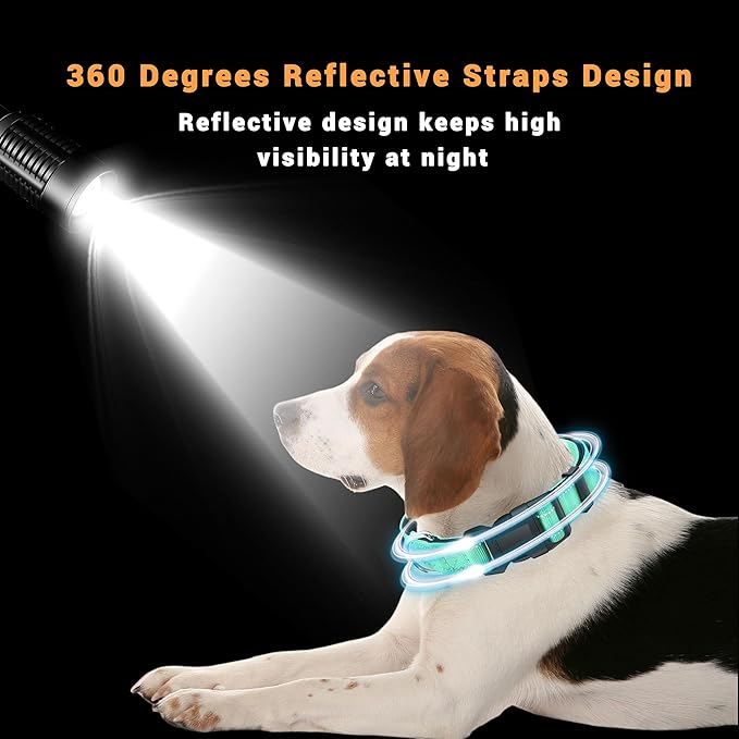 2 Pack Reflective Dog Collar - Image 4