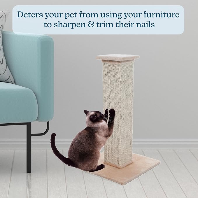 Cat Scratching Post with Carpeted Base - Image 3