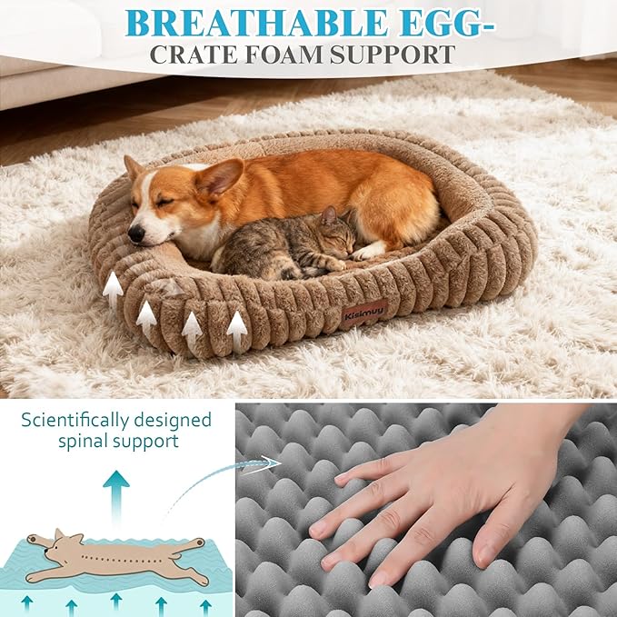 Cute Dog Bed for Medium Size Dog, Calming Medium Dog Cat Bed - Image 3