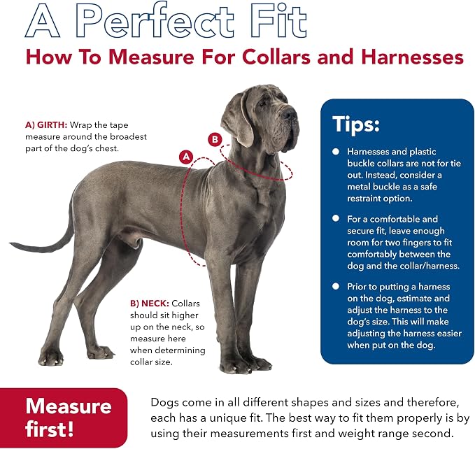 Coastal Pet - Check-Choke - Adjustable Check Training Collar - Image 7
