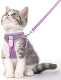 Cat Harness and Leash Set for Walking Escape Proof, Soft Adjustable Kitten by NCMAMA