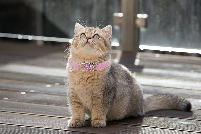 Heart Bling Cat Collar with Safety Belt and Bell Adjustable 8-10 inches - Image 6