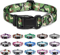 Mercano Adjustable Dog Collar by Unknown