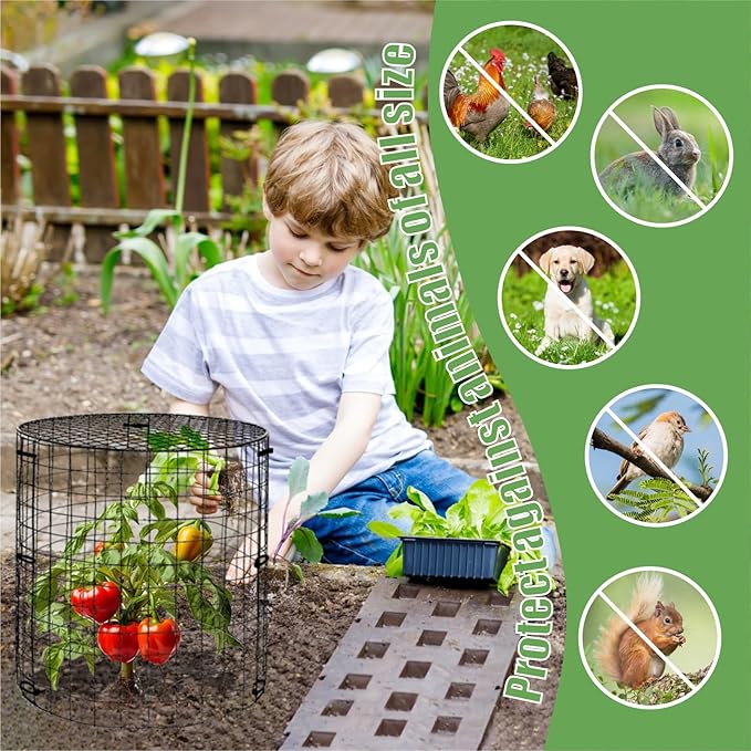 5 Packs Garden Plant Protectors from Animals, Metal Plant Cage Chicken Wire - Image 5