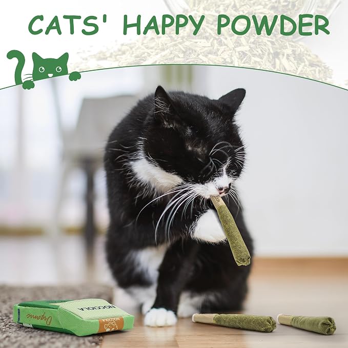 Nocciola 3 Pack Catnip Toys for Cats, Funny Cat Toys Filled - Image 4