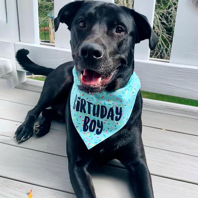 Birthday Boy Dog Bandanas 1 Pack, HBD Pet Scarves - Image 4