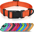 Joytale Small Dog Collar, Reflective and Adjustable Nylon Collar by Joytale