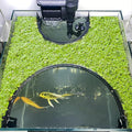 Floating Plant Corral for Aquarium, Fish Tank Accessories to Protects Duckweed by Unknown