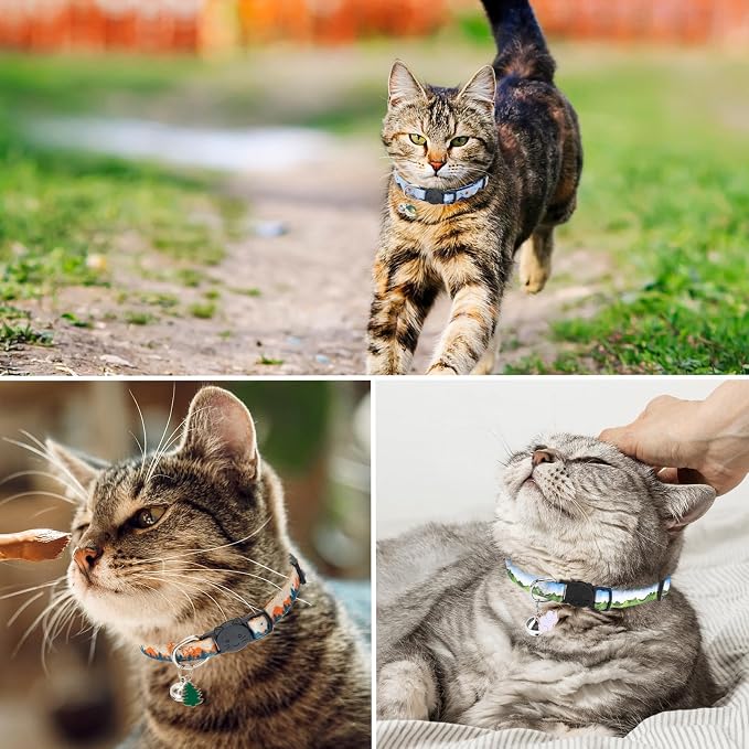 SCENEREAL Breakaway Cat Collars - Image 7