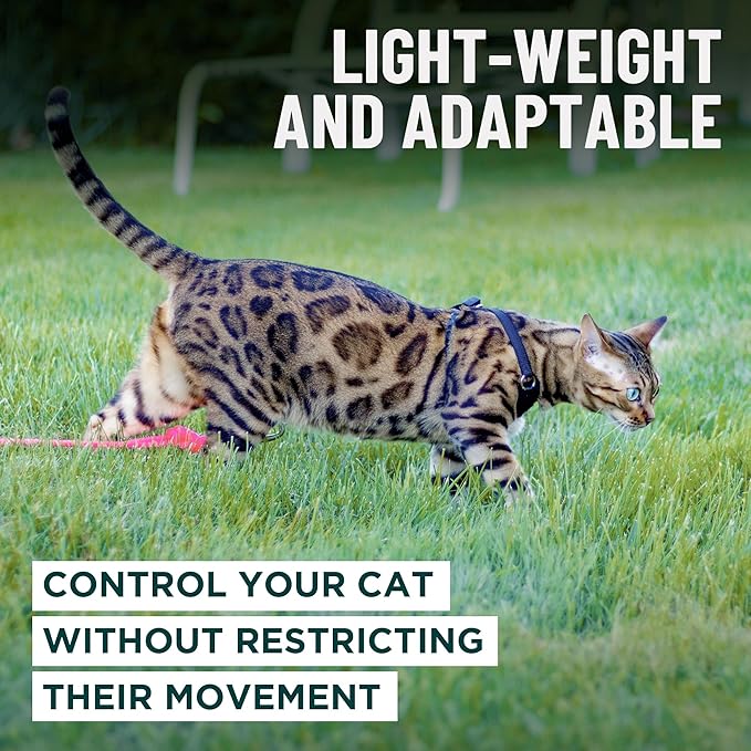 Houdini™ Escape Proof Kitten Harness and Leash Set by OutdoorBengal – Red - Image 7