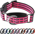 Hikiko Martingale Dog Collars Reflective Nylon Dog Collar by Hikiko