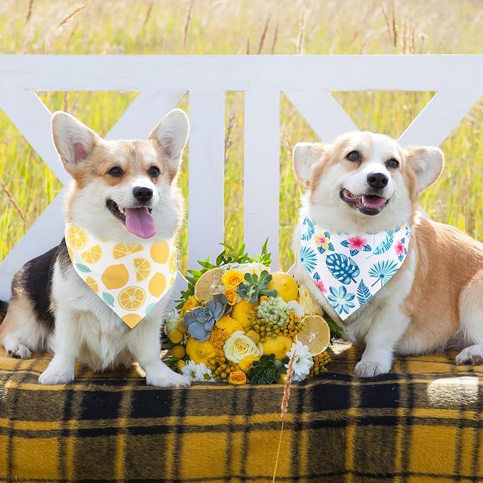 Aliceset 180 Pcs Summer Pet Dog Bandana Bulk Fruit Bandanas - Image 6