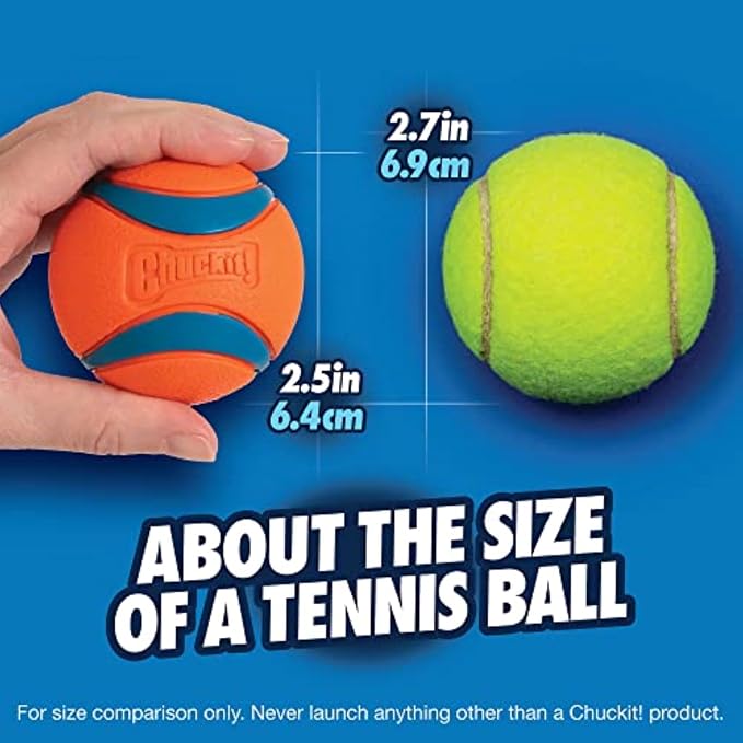 Chuckit! Ultra Ball Dog Toy - Image 5