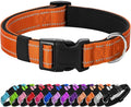 Reflective Dog Collar Padded by Penseepet