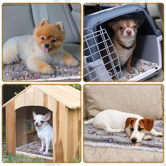Tuanse 4 Pack Ultra Soft Dog Cat Bed Mat Small Animal Guinea Pig Bed - Image 5