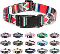 Mercano Adjustable Dog Collar by Unknown