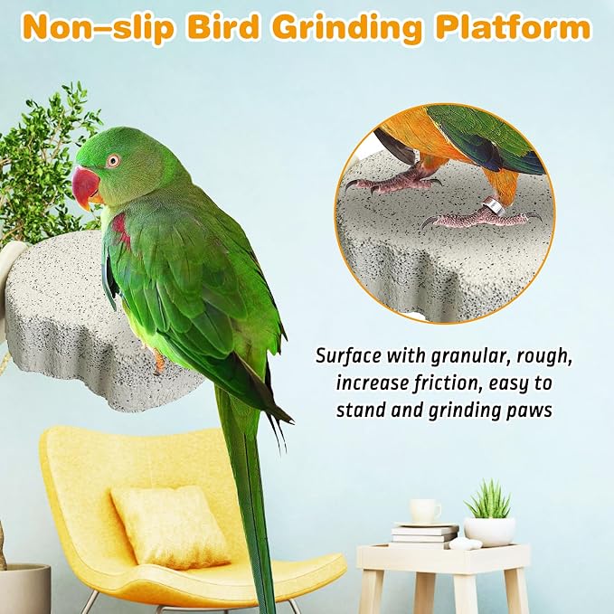 PINVNBY 6 PCS Bird Perch Parrot Beak Grinding Stone Calcium Mineral Parrot - Image 4