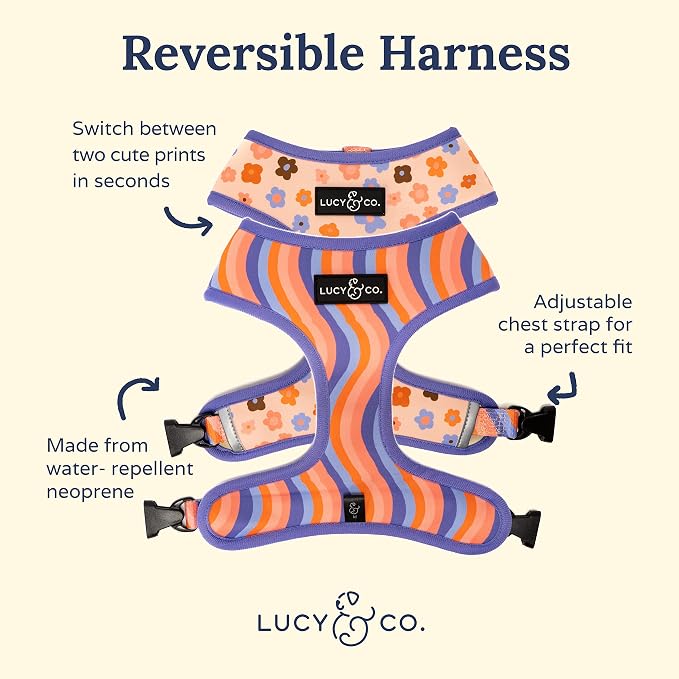 Lucy & Co. Purple with Coral Floral Wave, Cute Reversible Dog Harness Walking - Image 2