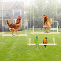 Chicken Swing, Easy Install Chicken Perch, Fun Poultry Toys by Unknown