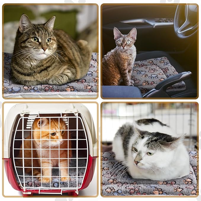 Tuanse 4 Pack Ultra Soft Dog Cat Bed Mat Small Animal Guinea Pig Bed - Image 7