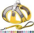 AIITLE Comfortable Dog Harness and Leash Set by AIITLE-FORPETSBETTERLIFE