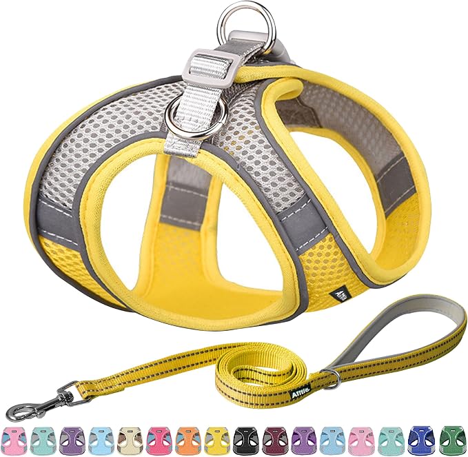 AIITLE Dog Harness, No-Pull Cat Harness by AIITLE-FORPETSBETTERLIFE