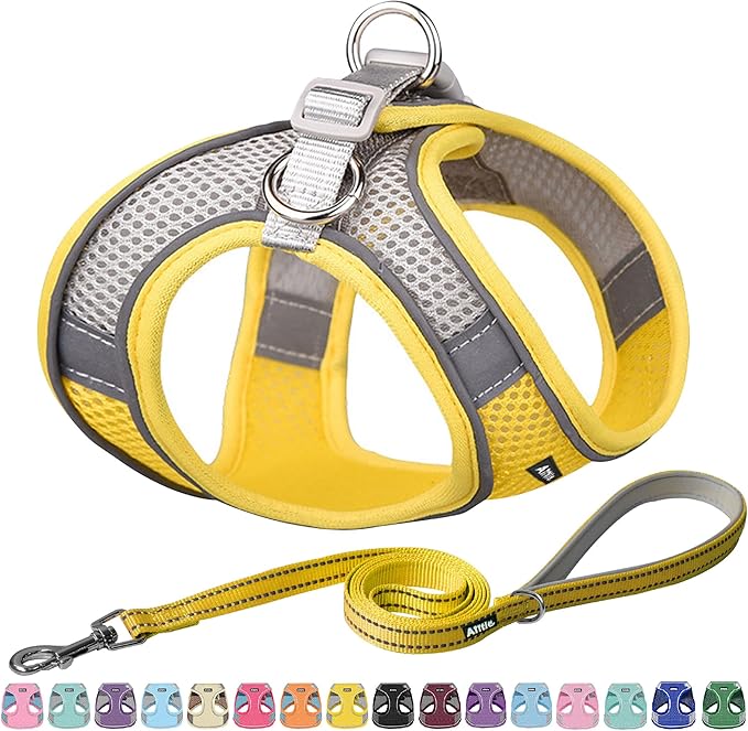 AIITLE Step in Dog Harness and Leash Set by AIITLE-FORPETSBETTERLIFE