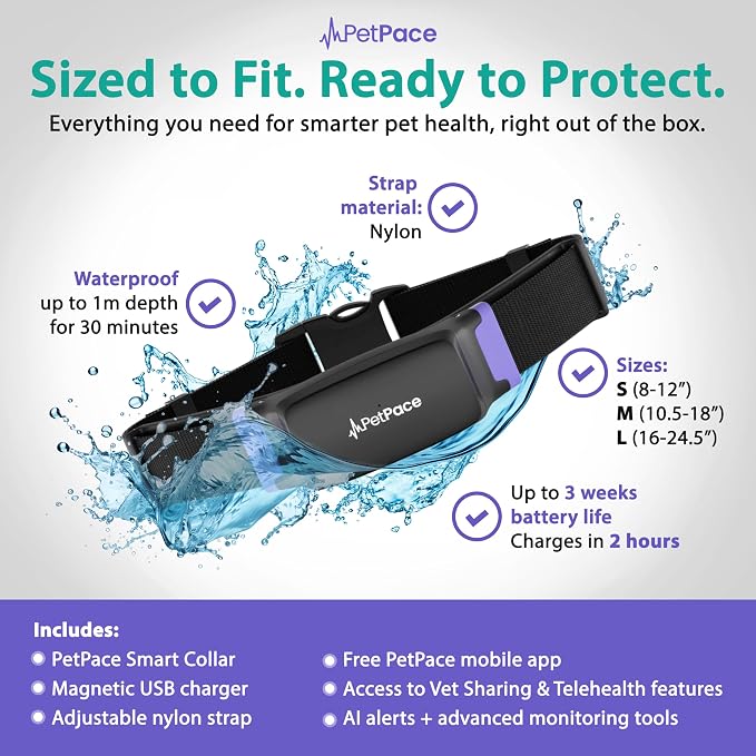 V3.0 Dog Health Monitor – AI Health Collar - Image 6