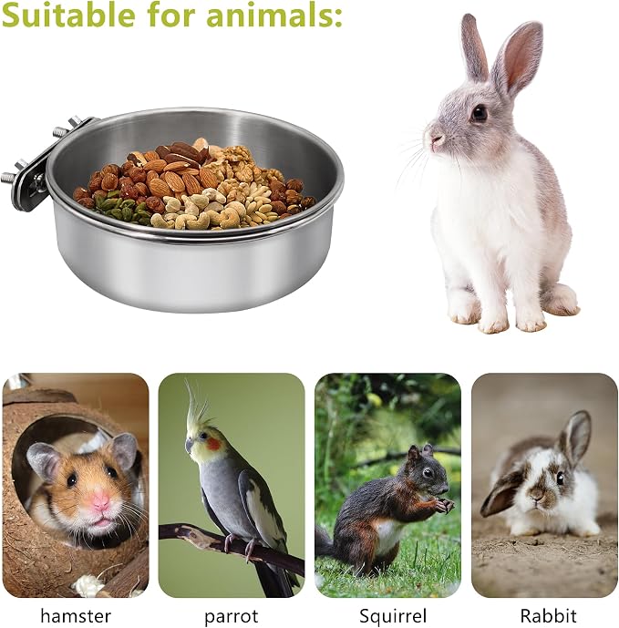 4 Pcs Small Bird Feeding Dish Cups, Parrot Food Bowl Cage - Image 3