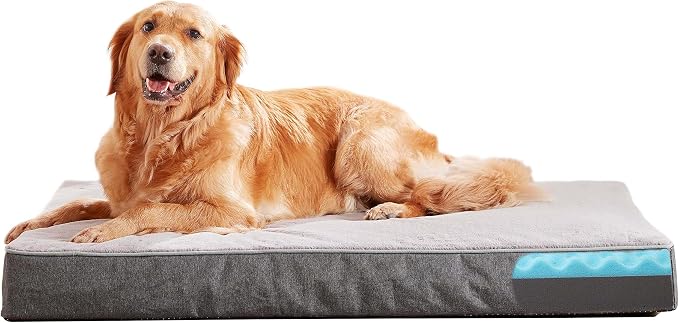 Orthopedic Memory Foam Dog Bed, Cooling Dog Beds by ABETTERLIFEWITHPET