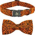 Elegant Little Tail Tiger Print X-Small Puppy Dog Collar, Buckle Closure by Elegantlittletail