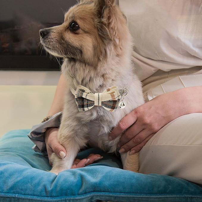 Breakaway Cat Collars - Image 7